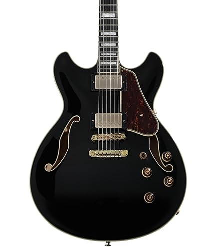 Amazon | Ibanez アイバニーズ Artcoreシリーズ フル・ホロウ
